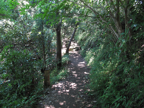 20150715hike (57)